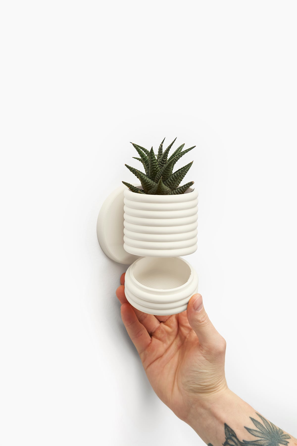 Wall Planter with Sliding Dovetail - The Poppy