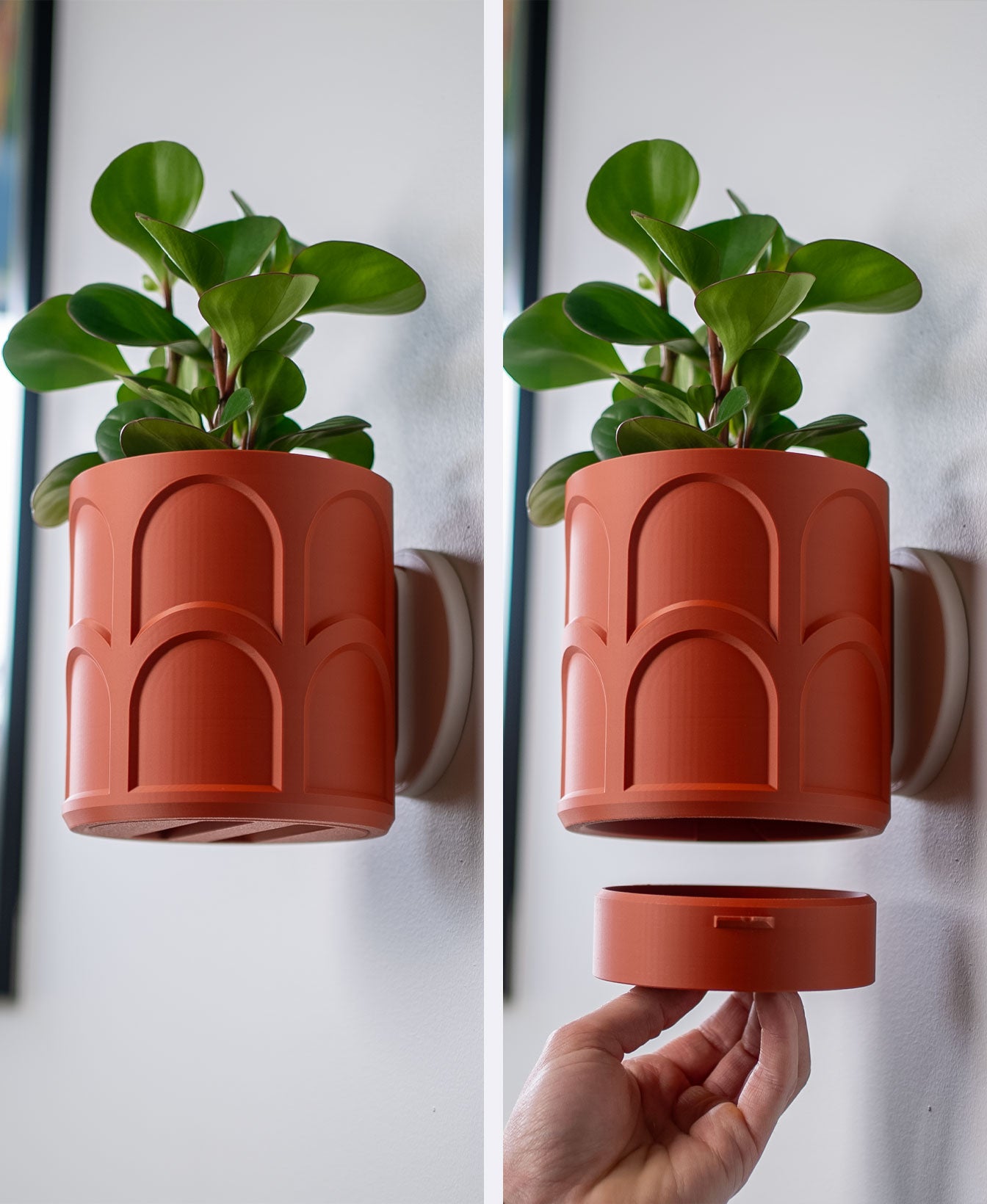Wall Planter with Hidden Drip Tray LG02