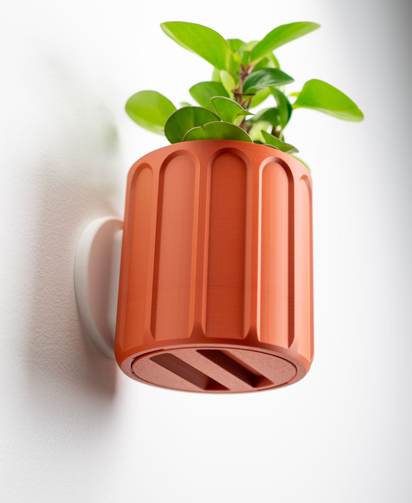 Wall Planter with Hidden Drip Tray - LG01