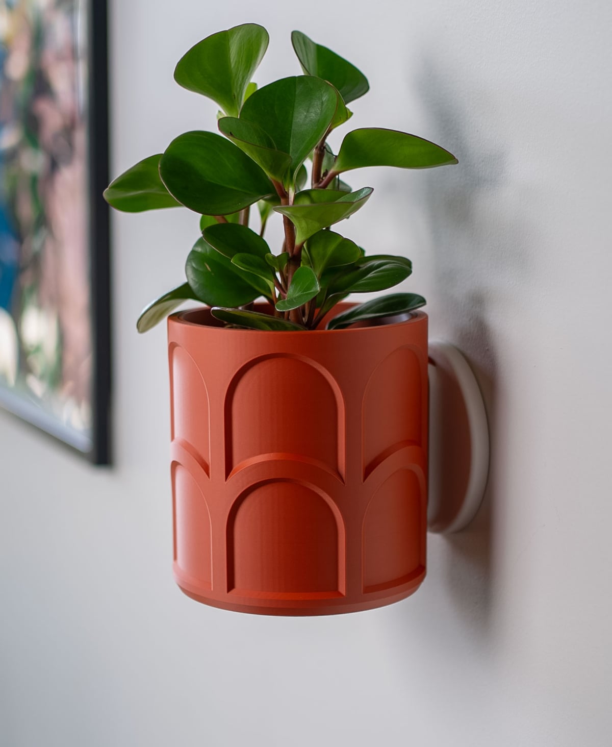 Wall Planter with Hidden Drip Tray LG02