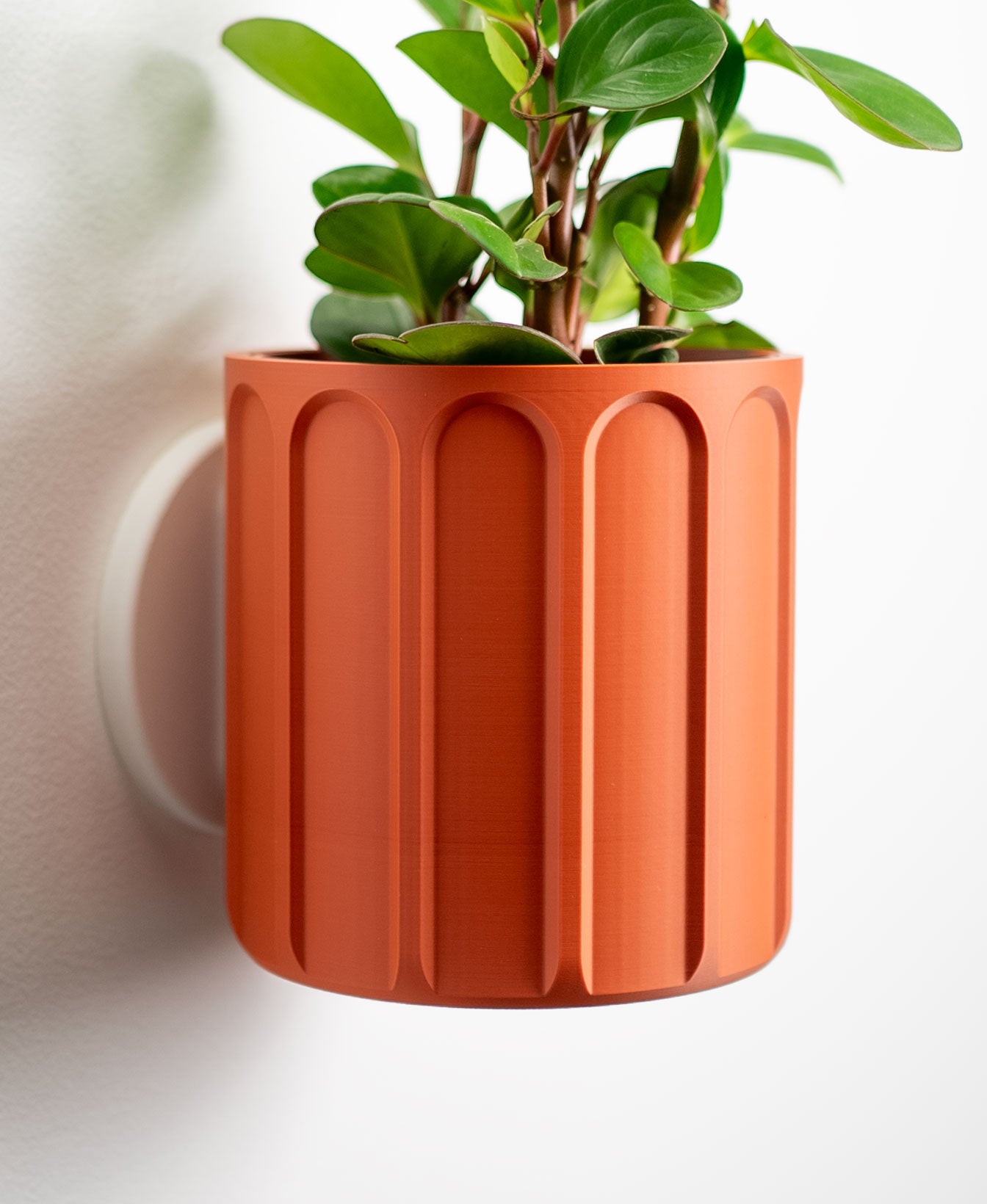 Wall Planter with Hidden Drip Tray - LG01