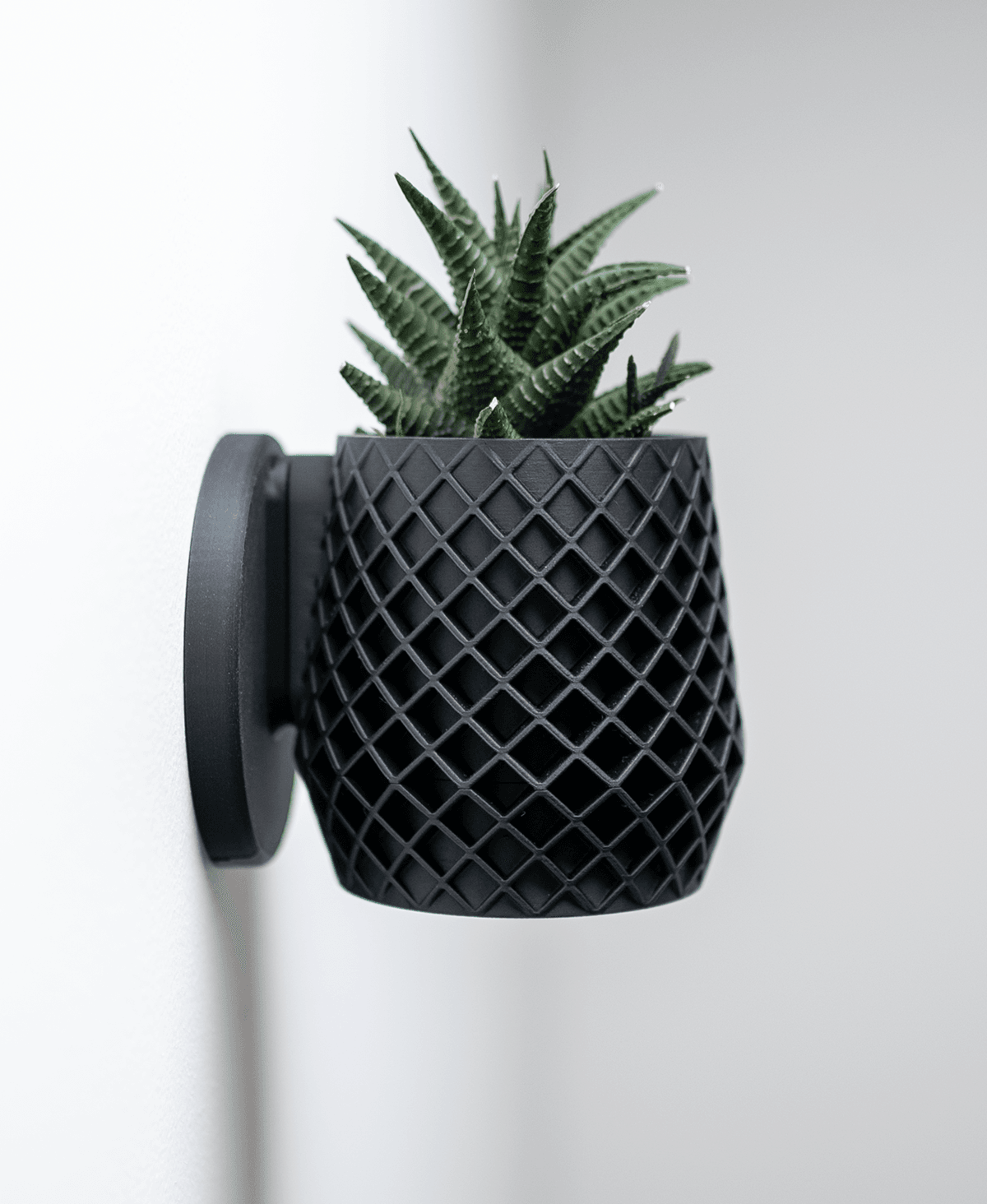 Lattice Planter