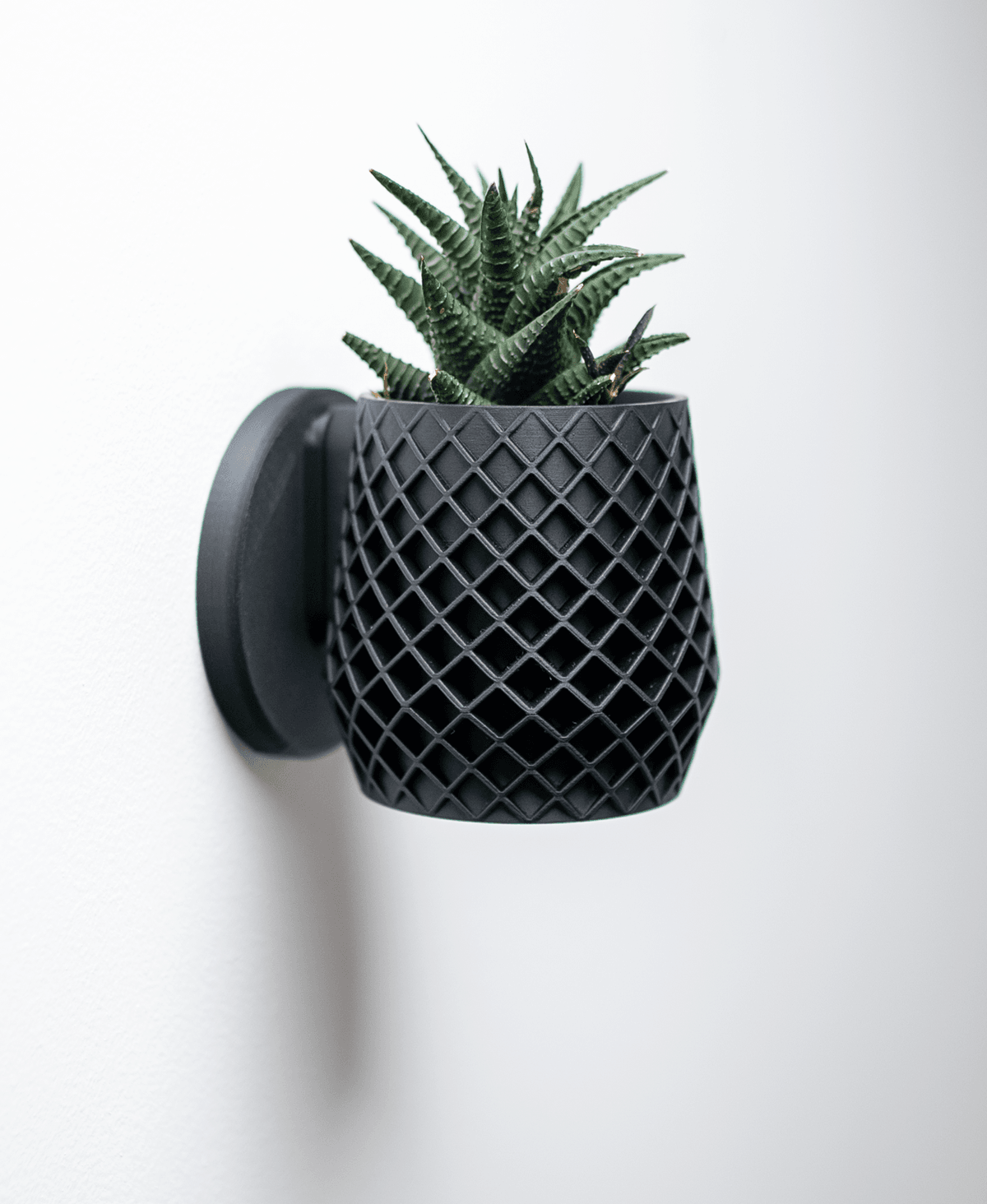 Lattice Planter