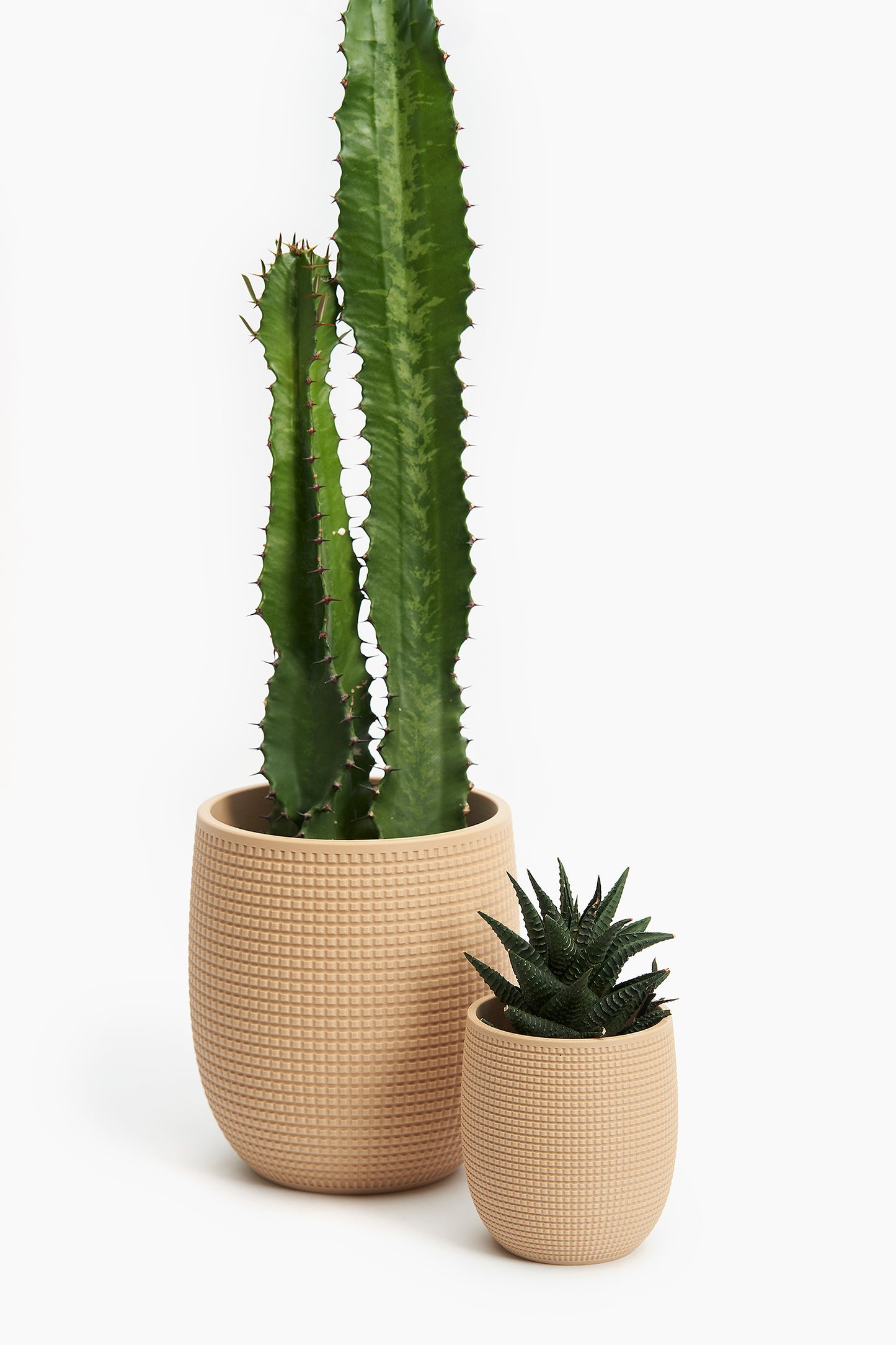 Grid Planter