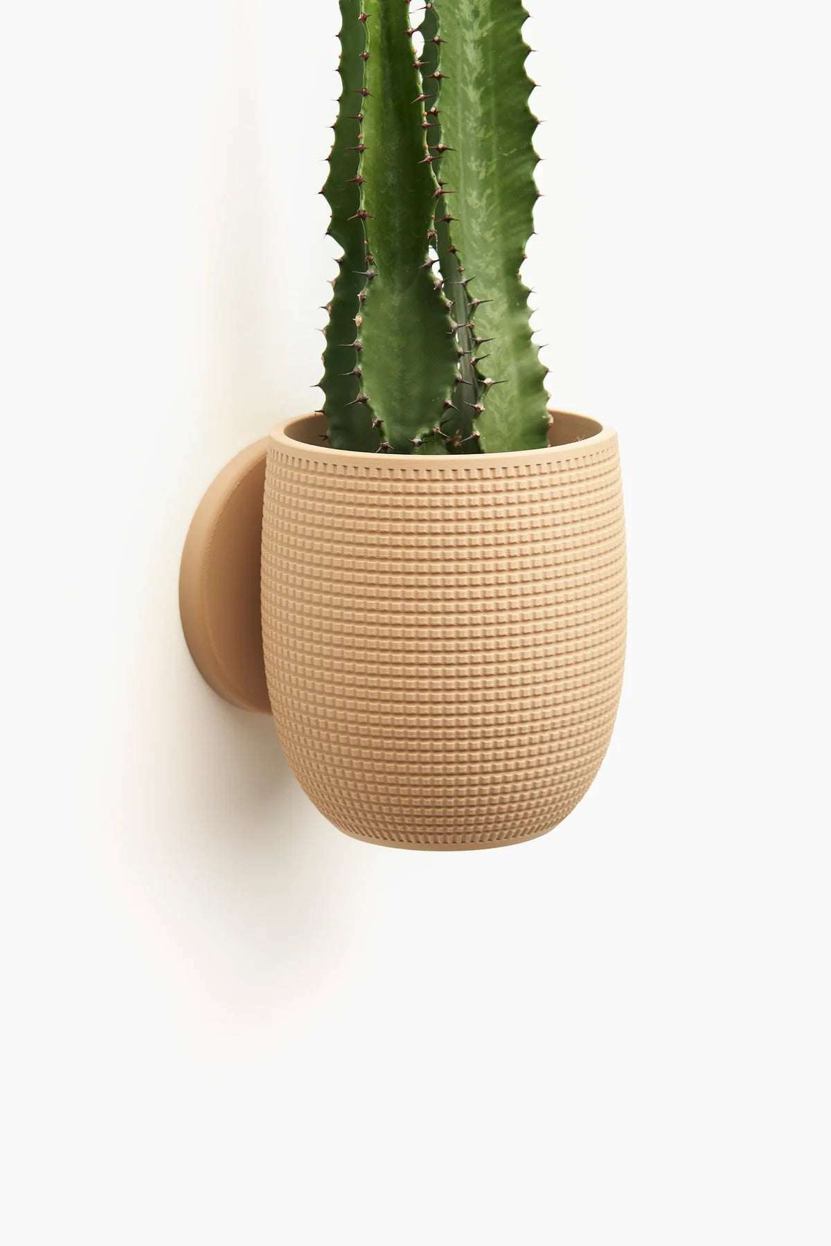 Grid Planter