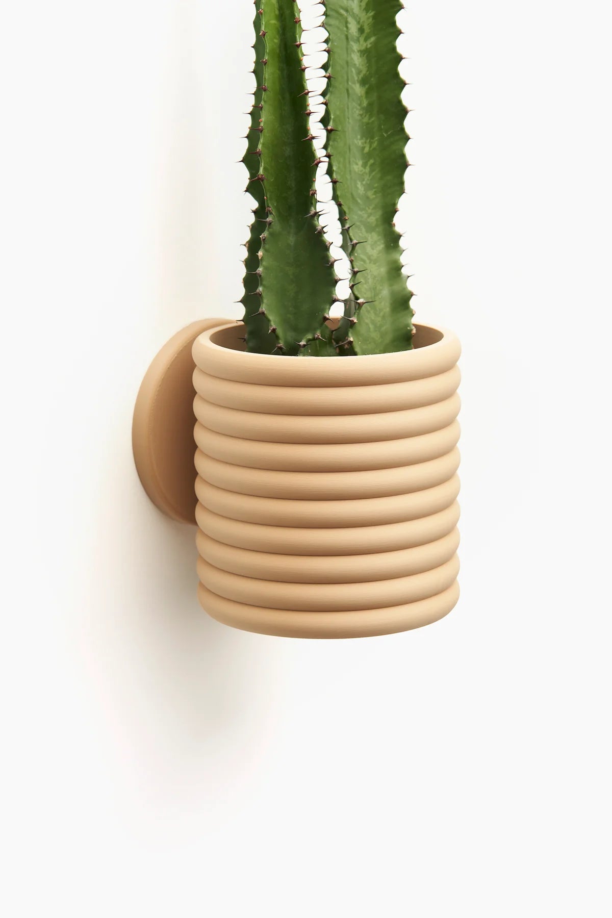 Wall Planter with Sliding Dovetail - The Poppy