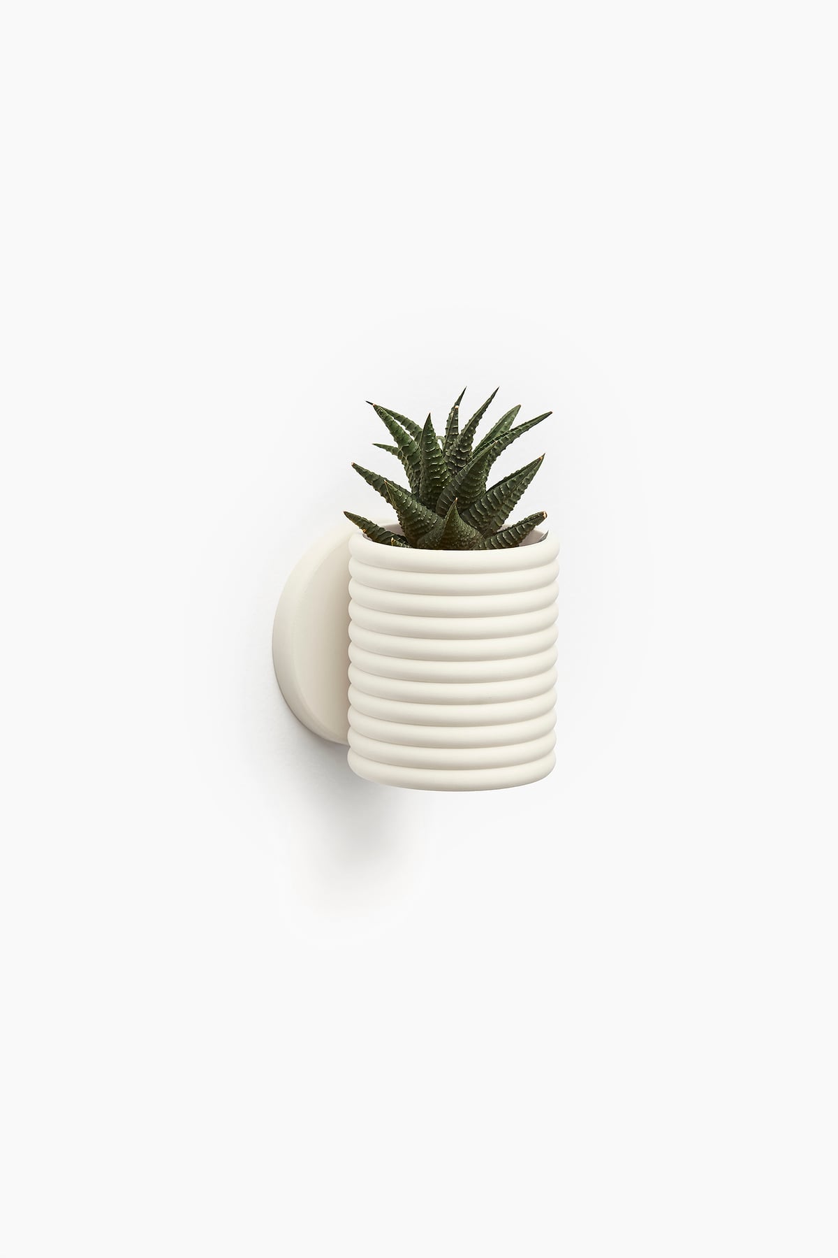Wall Planter with Sliding Dovetail - The Poppy